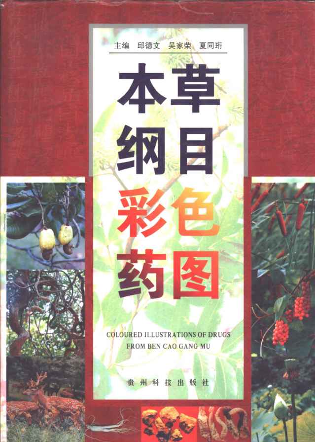 本草纲目彩色药图PDF电子书下载中医教学-中医资料-中医医案-中医针灸-古籍珍本-中医基础-中医经典-中医-名家学术-中医男科-疾病专治-经方论治-名族医药-中医方剂-中药本草-中医拔罐-中医刮痧-推拿按摩-中医内科-中西结合-中医妇科-中医皮肤-中医医话-中医外科-中医儿科-中医儿科-海外中医-特色疗法-中医骨伤-中医四诊-中医养生阁