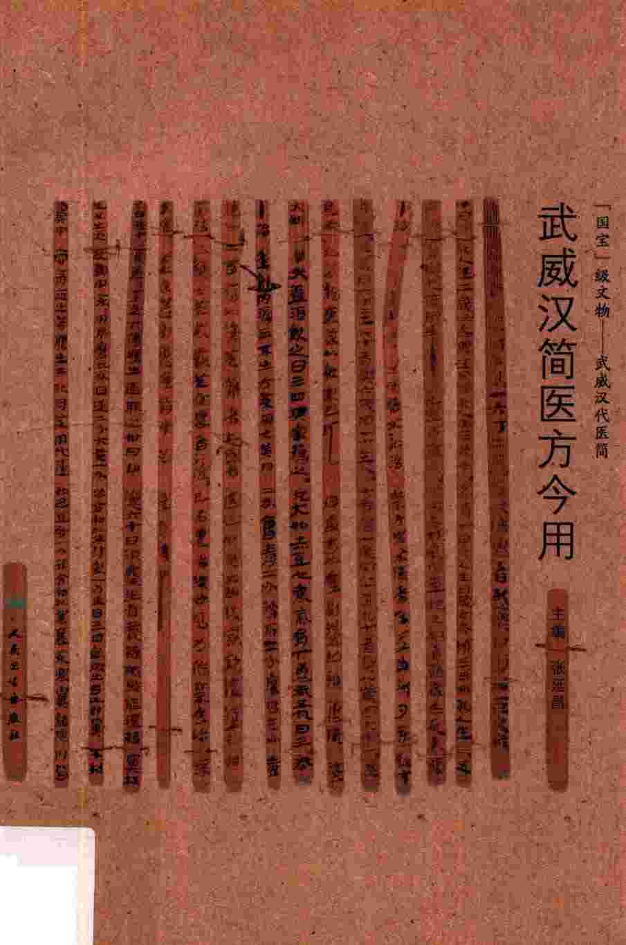 武威汉简医方今用