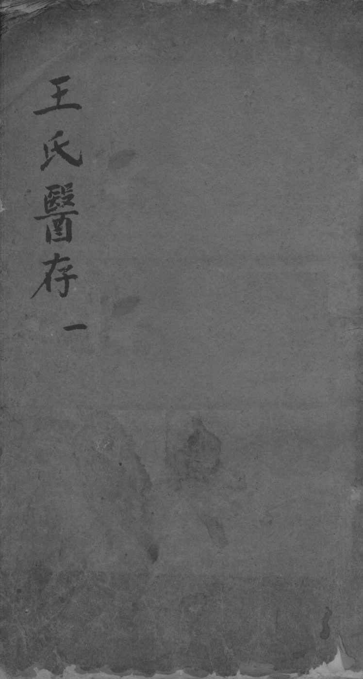 王氏医存