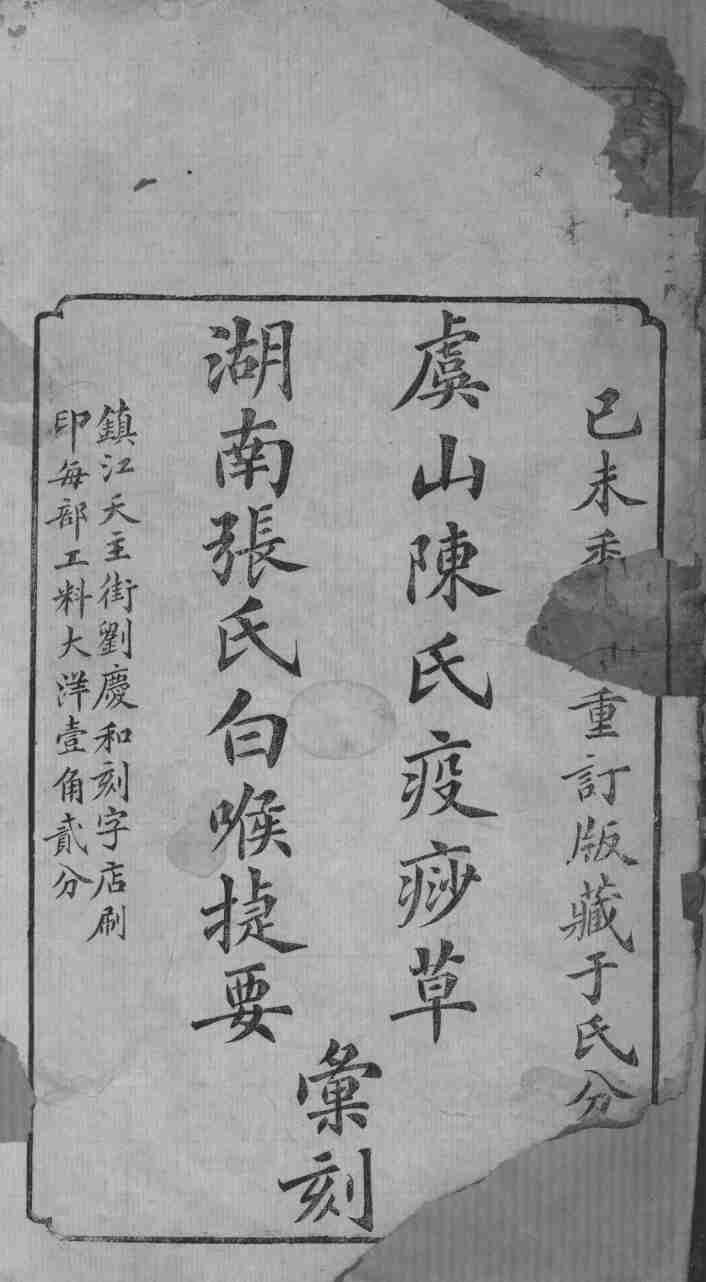 疫痧草