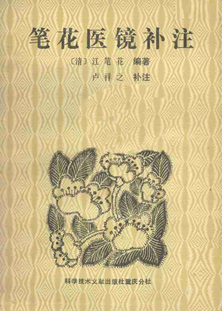 笔花医镜补注