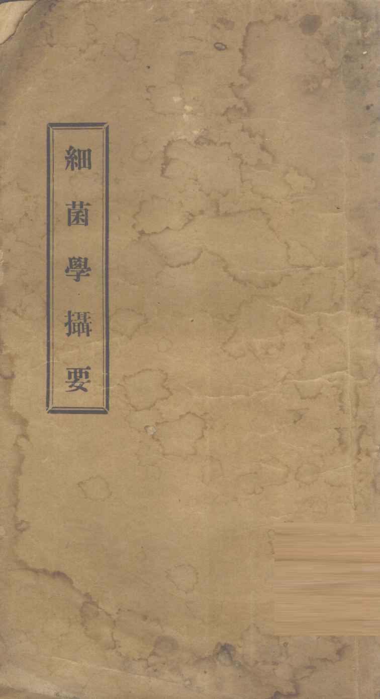 细菌摄要