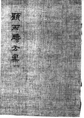 顾西畴方案