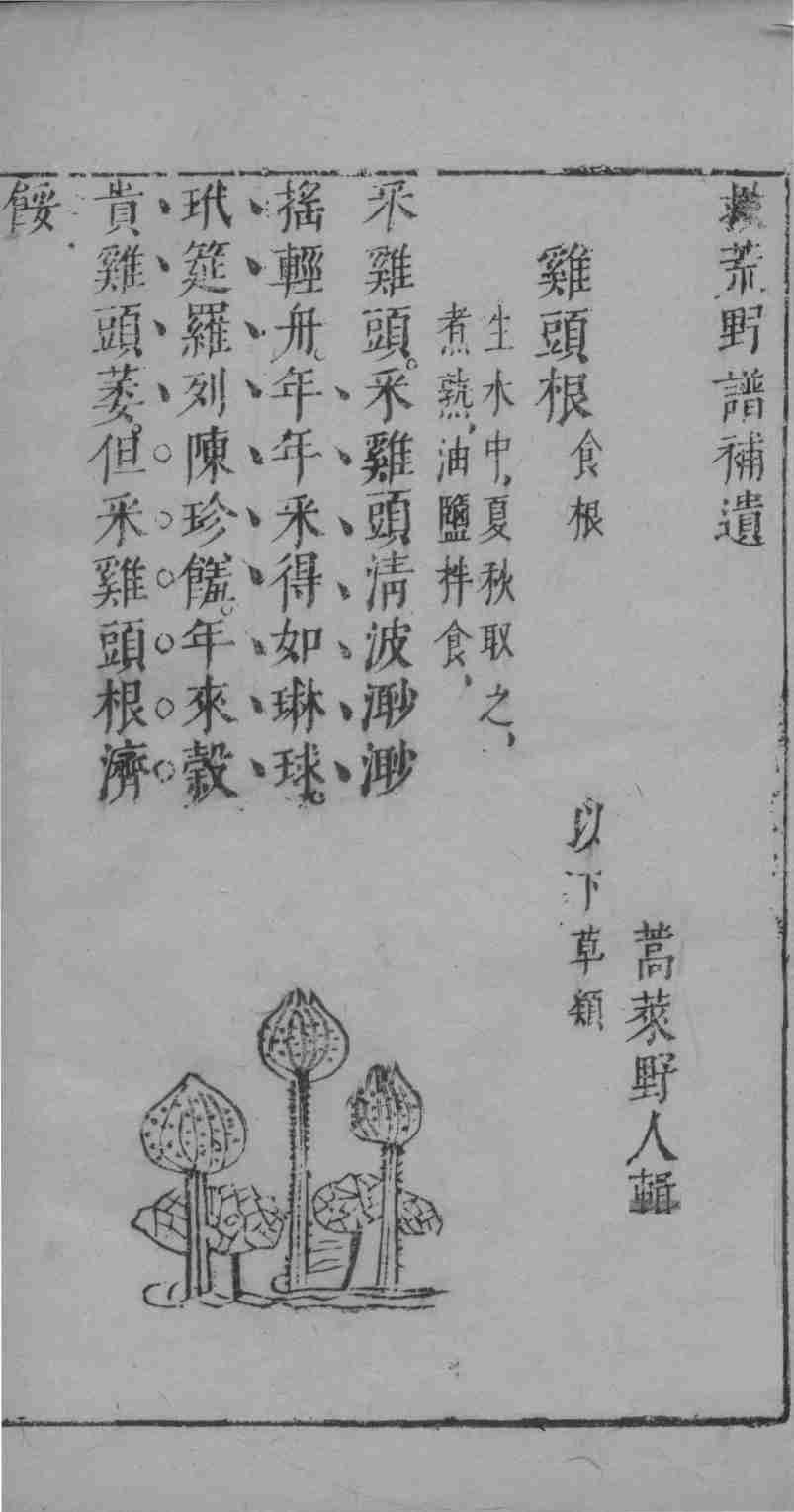 食物本草救荒野谱补遗PDF电子书下载中医教学-中医资料-中医医案-中医针灸-古籍珍本-中医基础-中医经典-中医-名家学术-中医男科-疾病专治-经方论治-名族医药-中医方剂-中药本草-中医拔罐-中医刮痧-推拿按摩-中医内科-中西结合-中医妇科-中医皮肤-中医医话-中医外科-中医儿科-中医儿科-海外中医-特色疗法-中医骨伤-中医四诊-中医养生阁