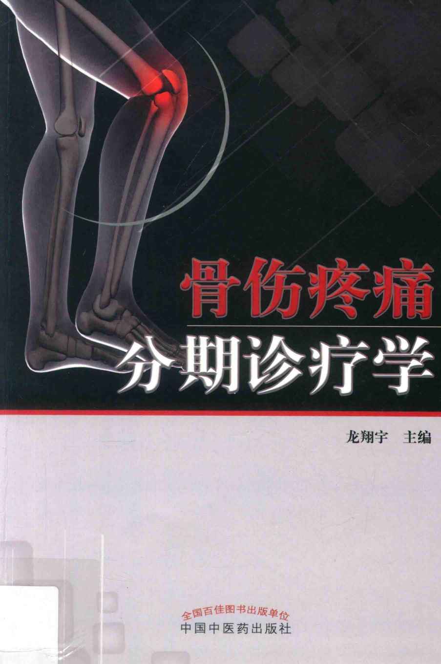 骨伤疼痛分期诊疗学