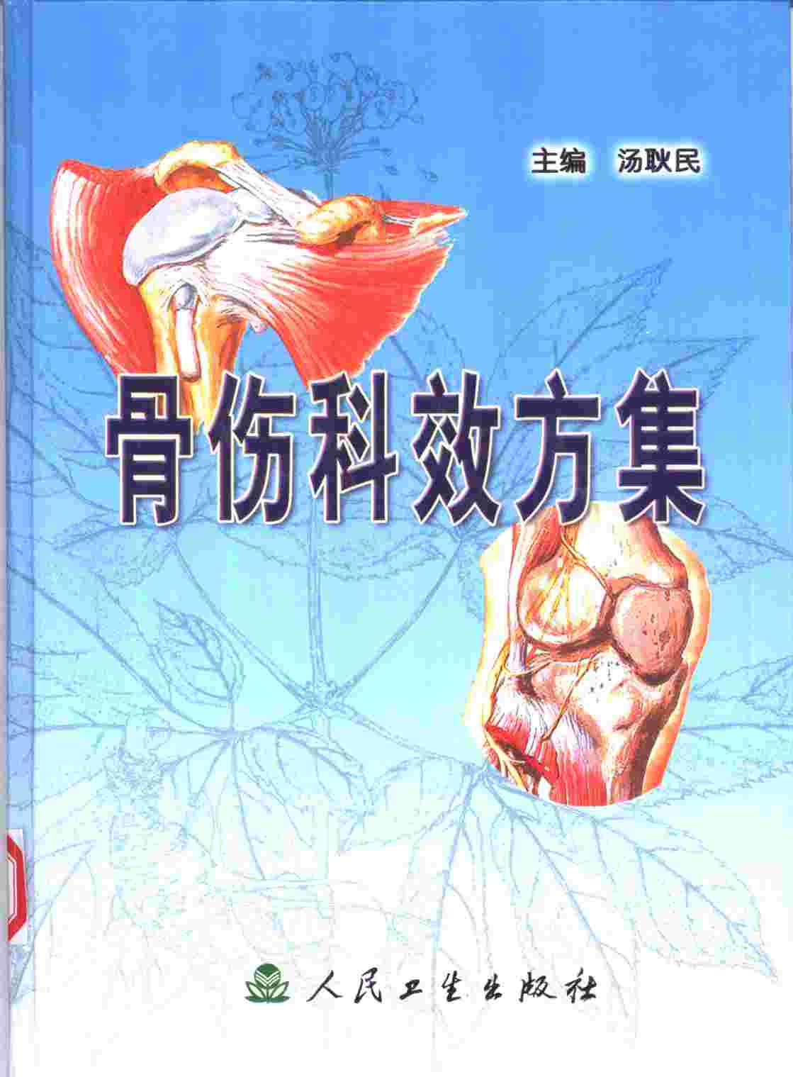 骨伤科效方集